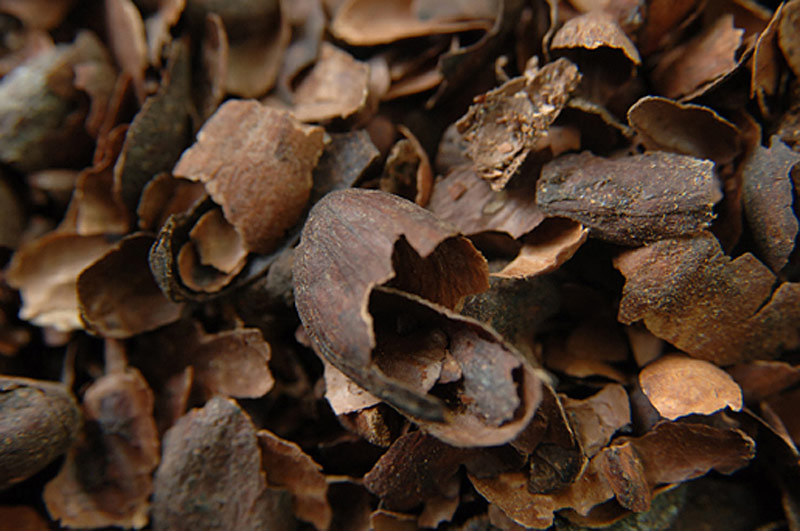 Cocoa Mulch