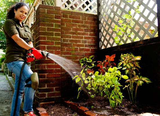 5 Plants for a Shady Landscape
