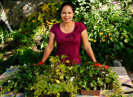 Prevent Weeds with Shade