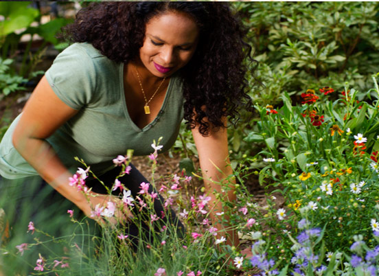 Combining Plants: Summer