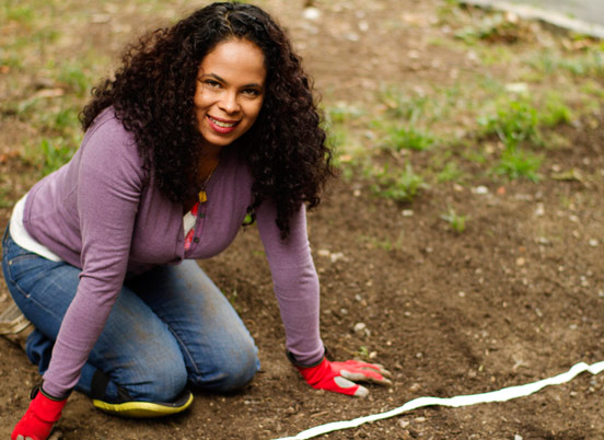 5 Plants for a Dry Landscape
