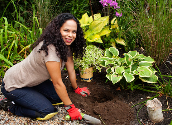 5 Plants for a Sunny Landscape