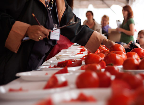 Best-Tasting Tomatoes