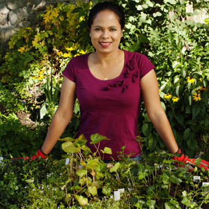 Patti Moreno Potting Bench